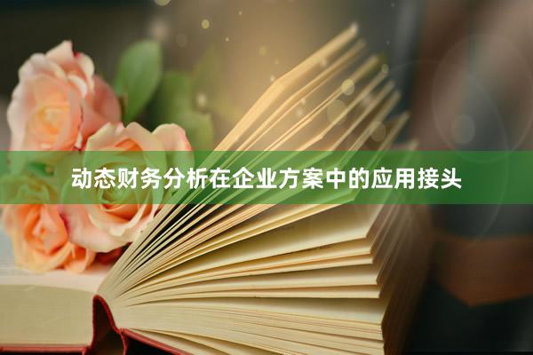 动态财务分析在企业方案中的应用接头