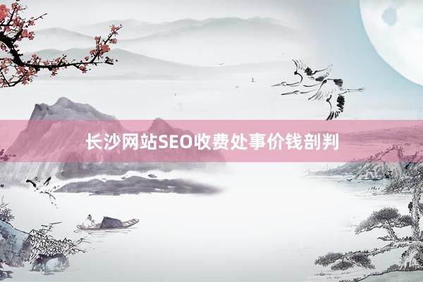 长沙网站SEO收费处事价钱剖判