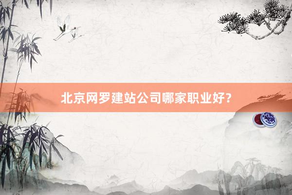 北京网罗建站公司哪家职业好？