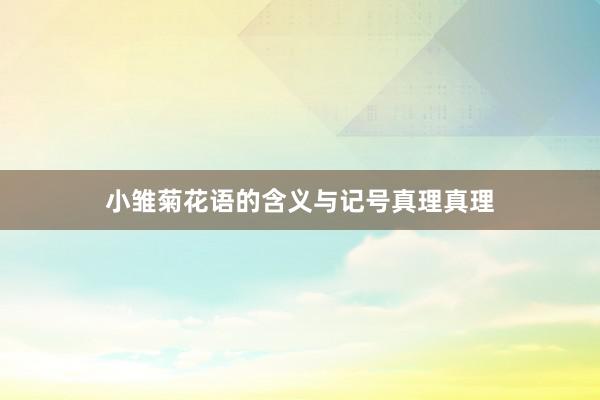 小雏菊花语的含义与记号真理真理
