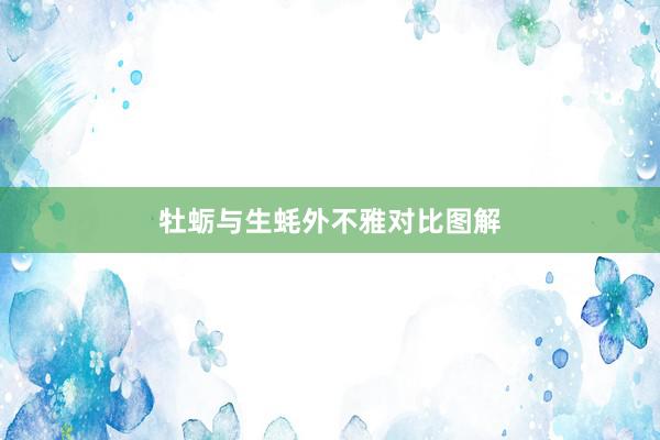 牡蛎与生蚝外不雅对比图解