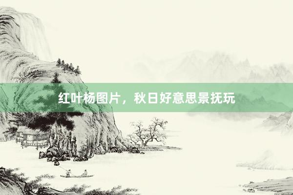 红叶杨图片,秋日好意思景抚玩